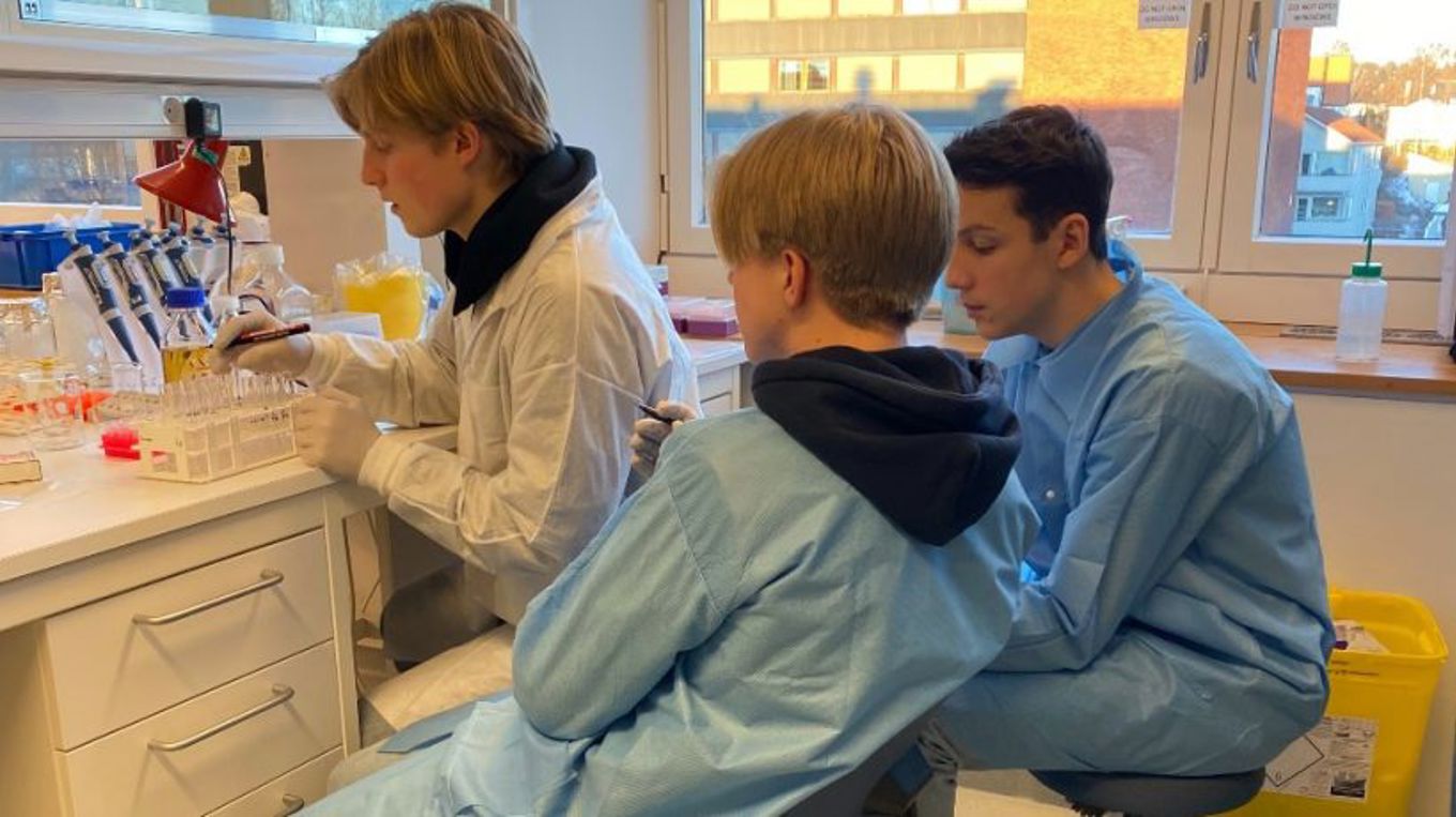 Alexander, August og Martin på laben. De har vunnet førstepremie i konkurransen Unge Forskere. Velfortjent!